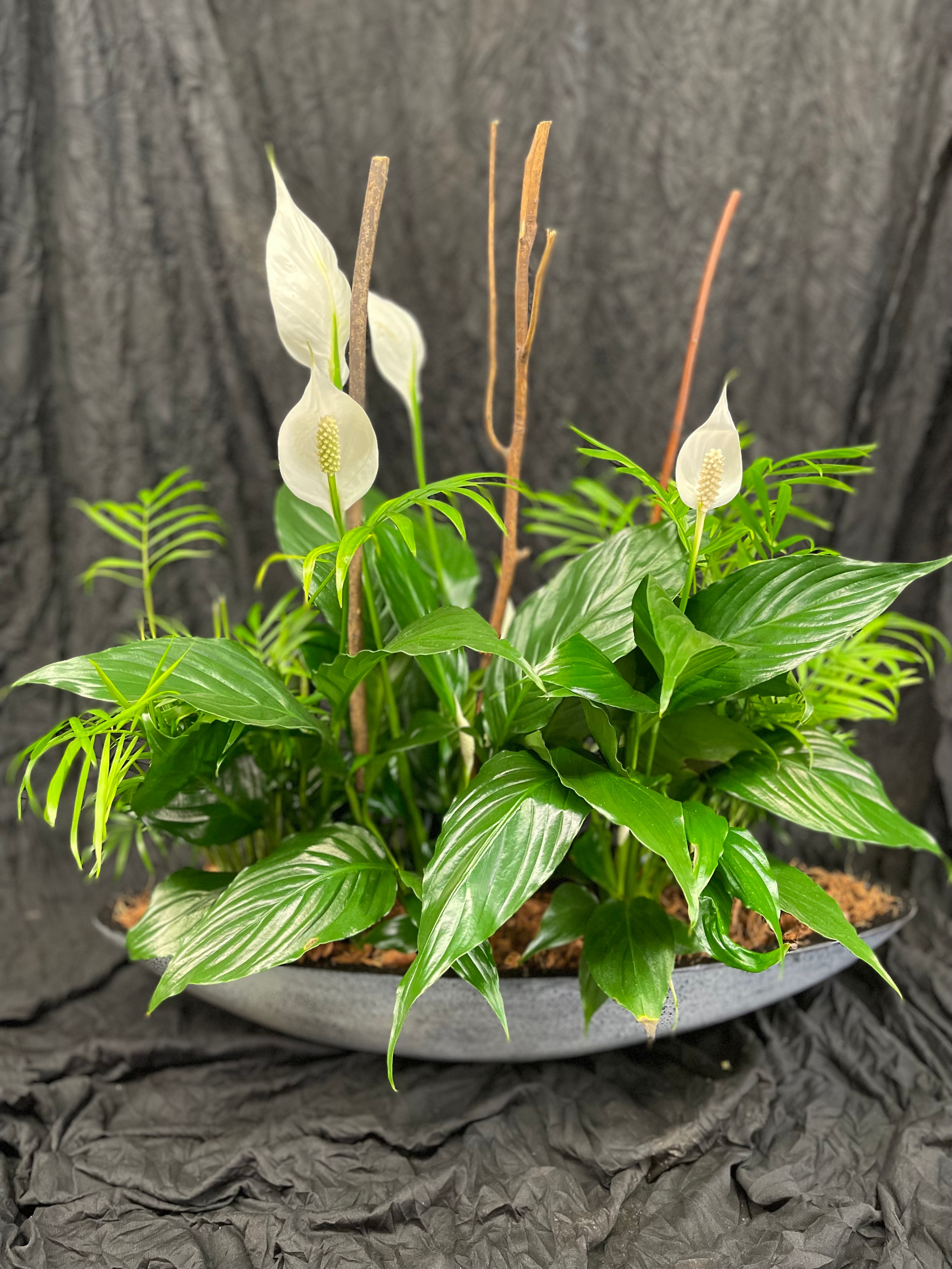 Giant Peace Lily Boat